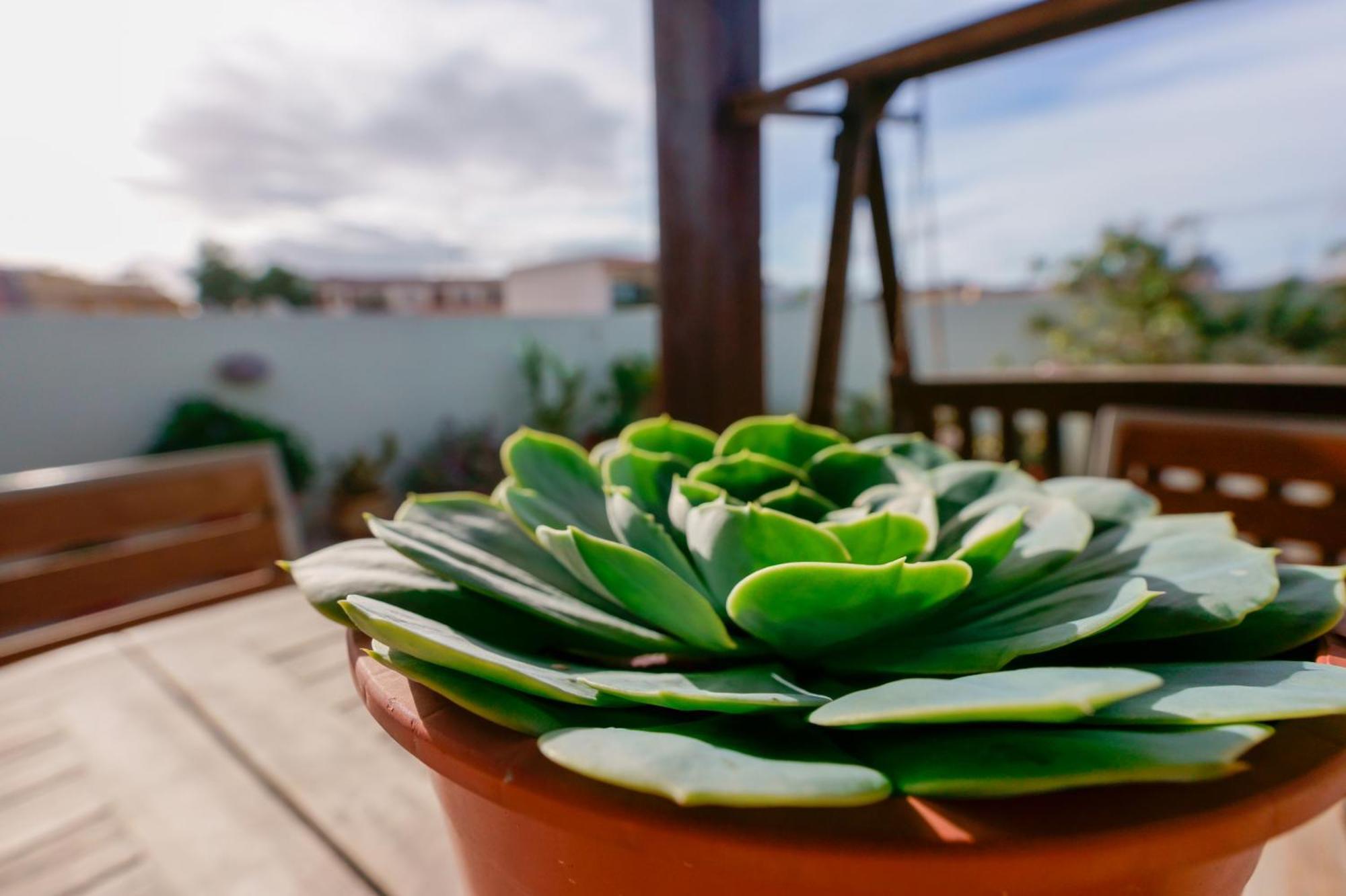La Terrazza Apartment